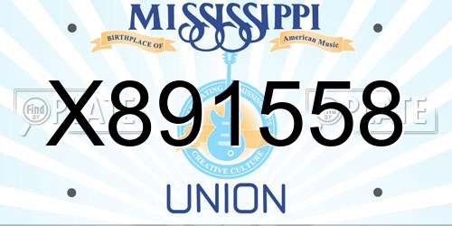 X891558 Mississippi License Plate