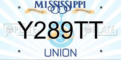 Y289TT Mississippi License Plate