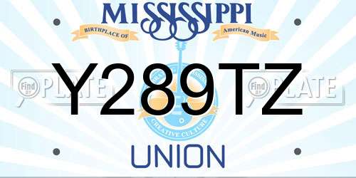 Y289TZ Mississippi License Plate