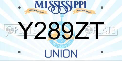 Y289ZT Mississippi License Plate