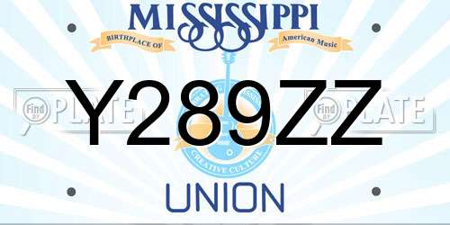 Y289ZZ Mississippi License Plate