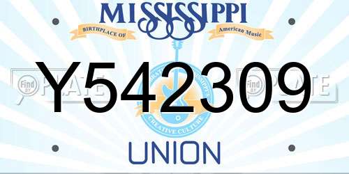 Y542309 Mississippi License Plate