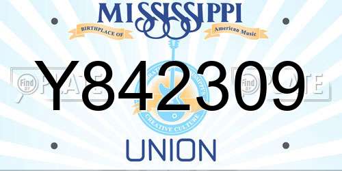 Y842309 Mississippi License Plate