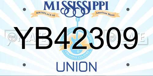 YB42309 Mississippi License Plate