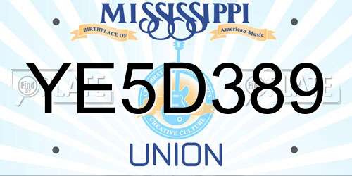 YE5D389 Mississippi License Plate