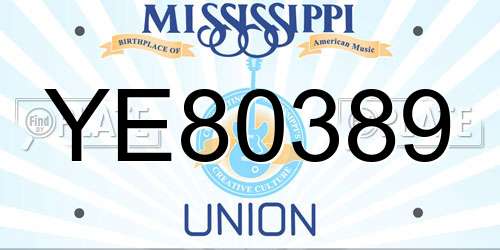 YE80389 Mississippi License Plate