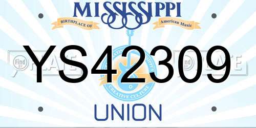 YS42309 Mississippi License Plate