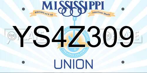 YS4Z309 Mississippi License Plate