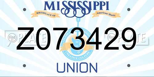 Z073429 Mississippi License Plate