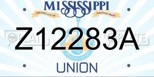 Z12283A Mississippi License Plate