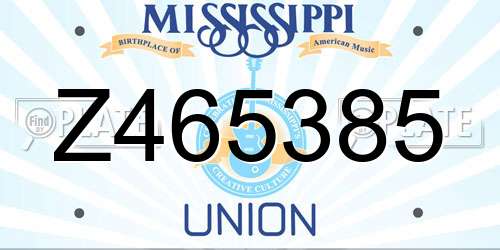 Z465385 Mississippi License Plate