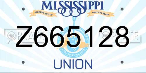 Z665128 Mississippi License Plate