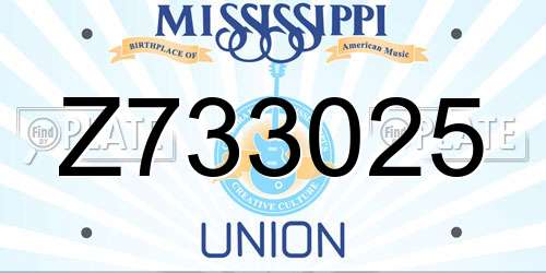 Z733025 Mississippi License Plate