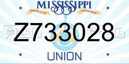 Z733028 Mississippi License Plate