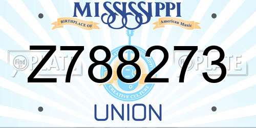 Z788273 Mississippi License Plate