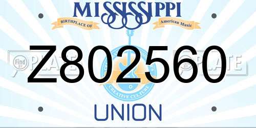 Z802560 Mississippi License Plate
