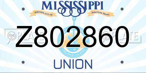 Z802860 Mississippi License Plate