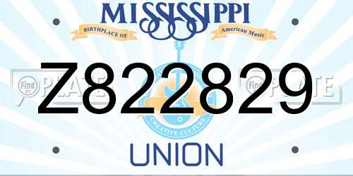 Z822829 Mississippi License Plate