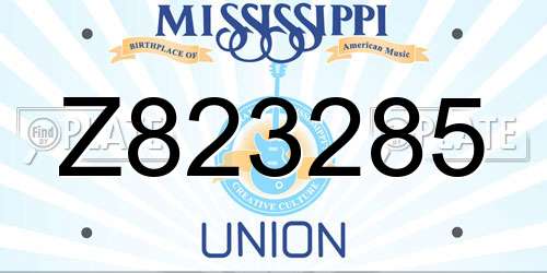 Z823285 Mississippi License Plate