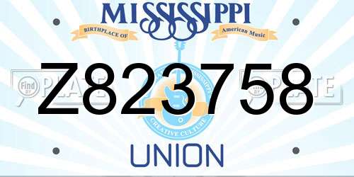 Z823758 Mississippi License Plate