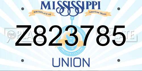 Z823785 Mississippi License Plate