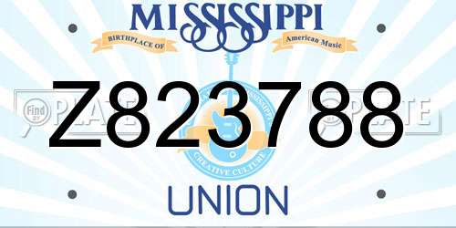 Z823788 Mississippi License Plate