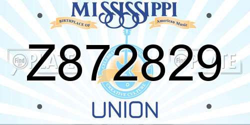 Z872829 Mississippi License Plate