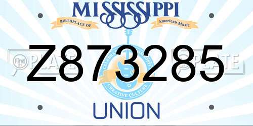 Z873285 Mississippi License Plate