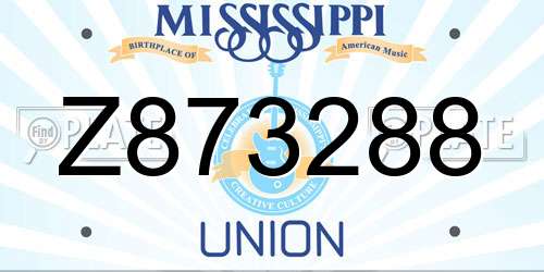 Z873288 Mississippi License Plate