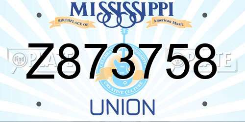 Z873758 Mississippi License Plate