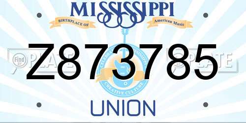 Z873785 Mississippi License Plate