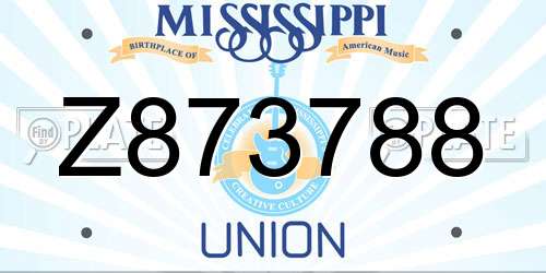 Z873788 Mississippi License Plate