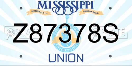 Z87378S Mississippi License Plate