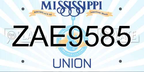 ZAE9585 Mississippi License Plate