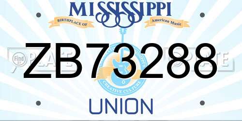 ZB73288 Mississippi License Plate
