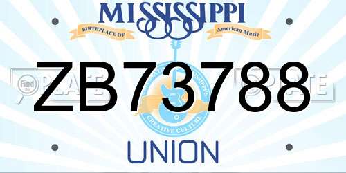 ZB73788 Mississippi License Plate