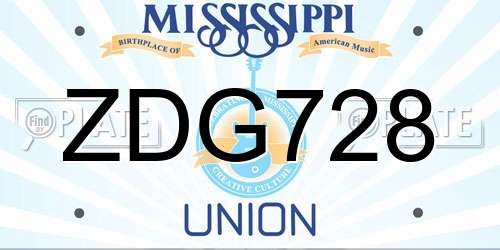ZDG728 Mississippi License Plate
