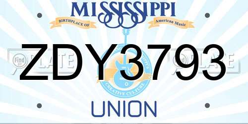 ZDY3793 Mississippi License Plate