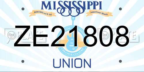 ZE21808 Mississippi License Plate