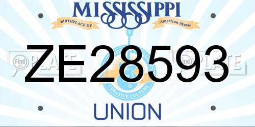ZE28593 Mississippi License Plate