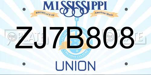 ZJ7B808 Mississippi License Plate