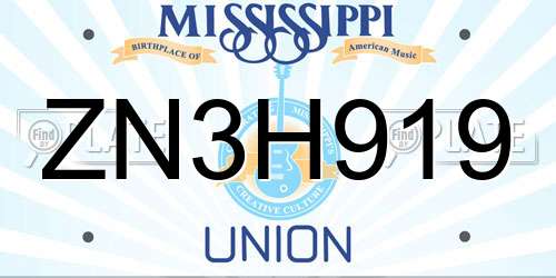 ZN3H919 Mississippi License Plate