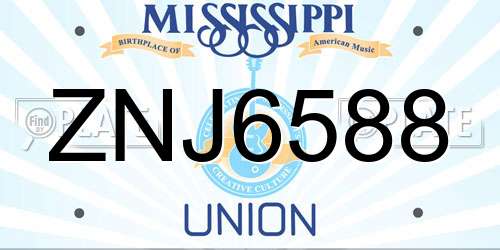 ZNJ6588 Mississippi License Plate