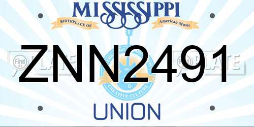 ZNN2491 Mississippi License Plate