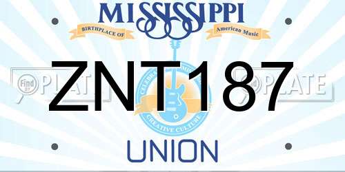 ZNT187 Mississippi License Plate