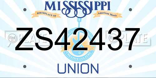 ZS42437 Mississippi License Plate