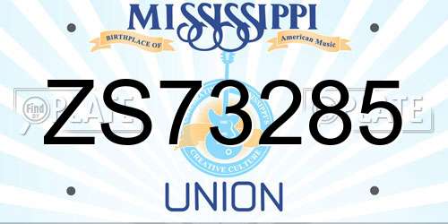 ZS73285 Mississippi License Plate