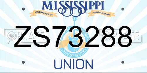 ZS73288 Mississippi License Plate