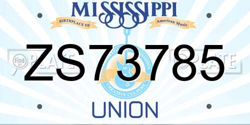 ZS73785 Mississippi License Plate