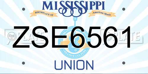 ZSE6561 Mississippi License Plate
